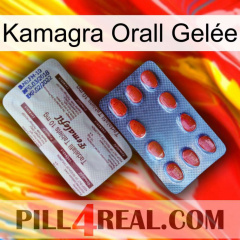 Kamagra Orall Gelée 36